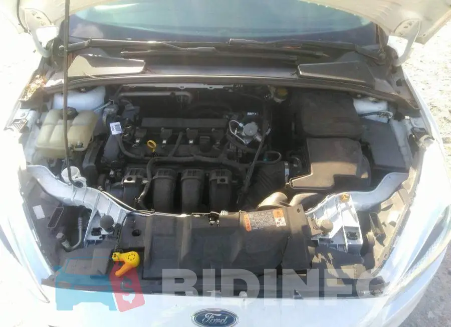 1FADP3F26FL298073 Photo# 10