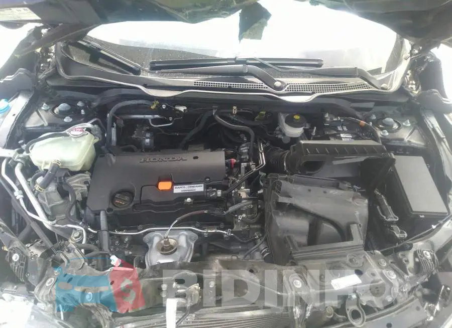 19XFC2F69LE016895 Photo# 10
