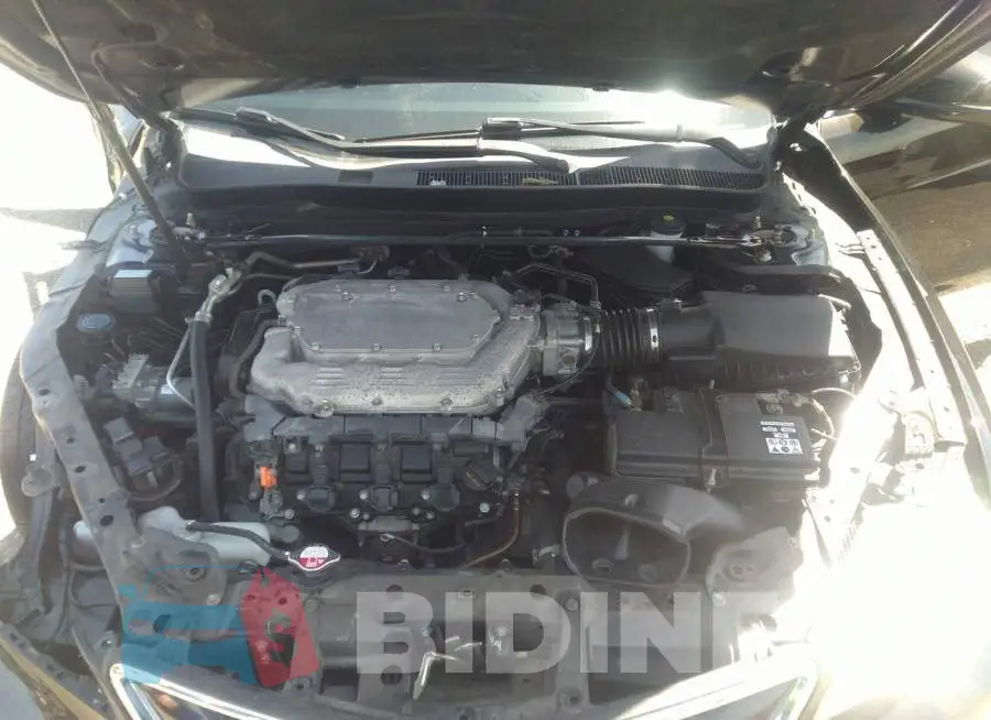 19UUB3F74FA001321 Photo# 10