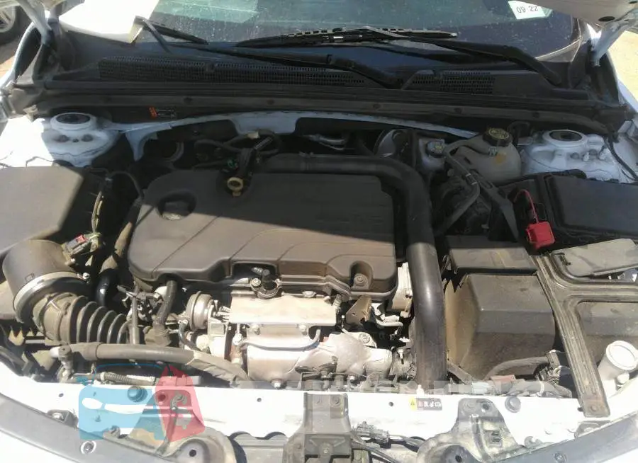 1G1ZD5ST8LF106013 Photo# 10