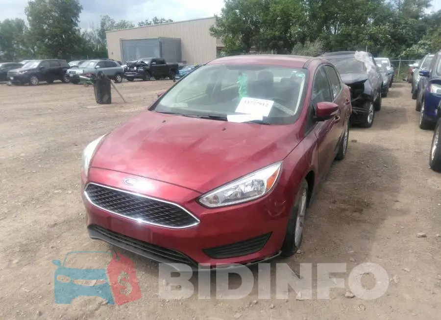 1FADP3F24HL253247 Photo# 2