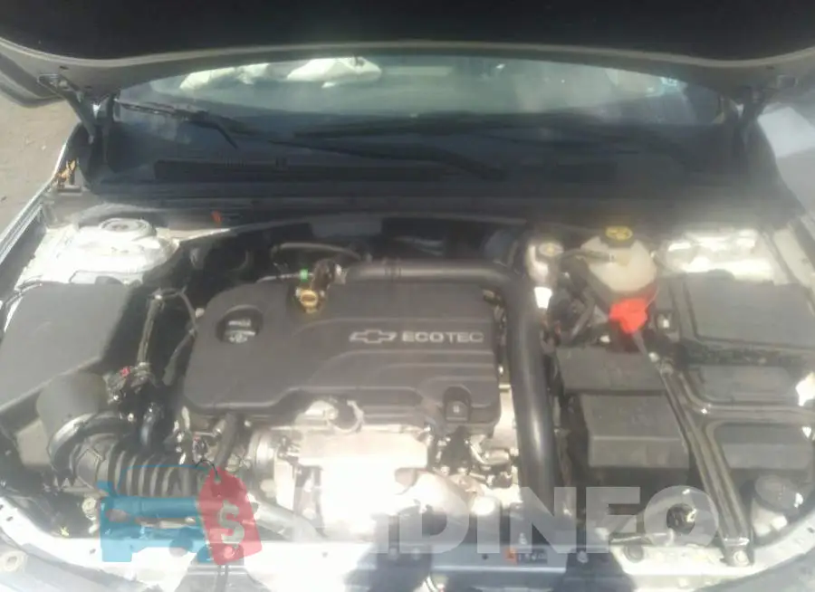1G1ZD5ST9JF103117 Photo# 10