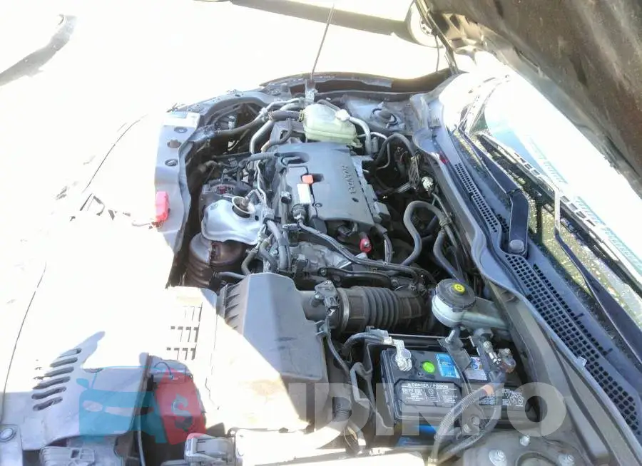 19XFC2F52GE250339 Photo# 10
