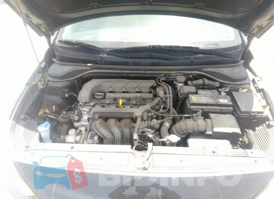 3KPC24A65LE101659 Photo# 10