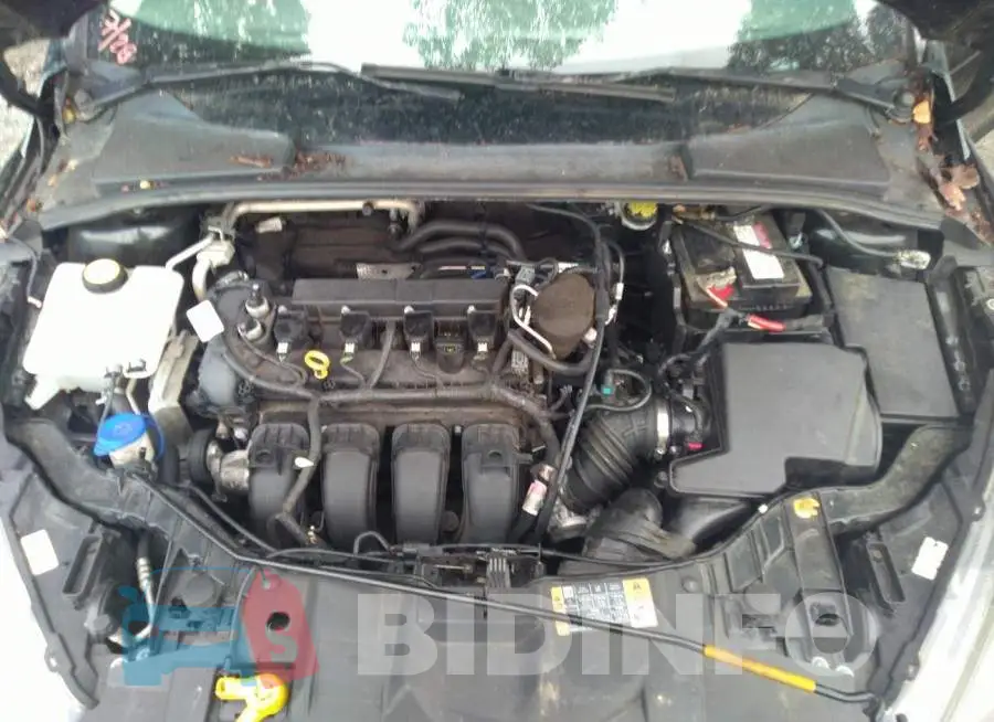 1FADP3F25FL239953 Photo# 10