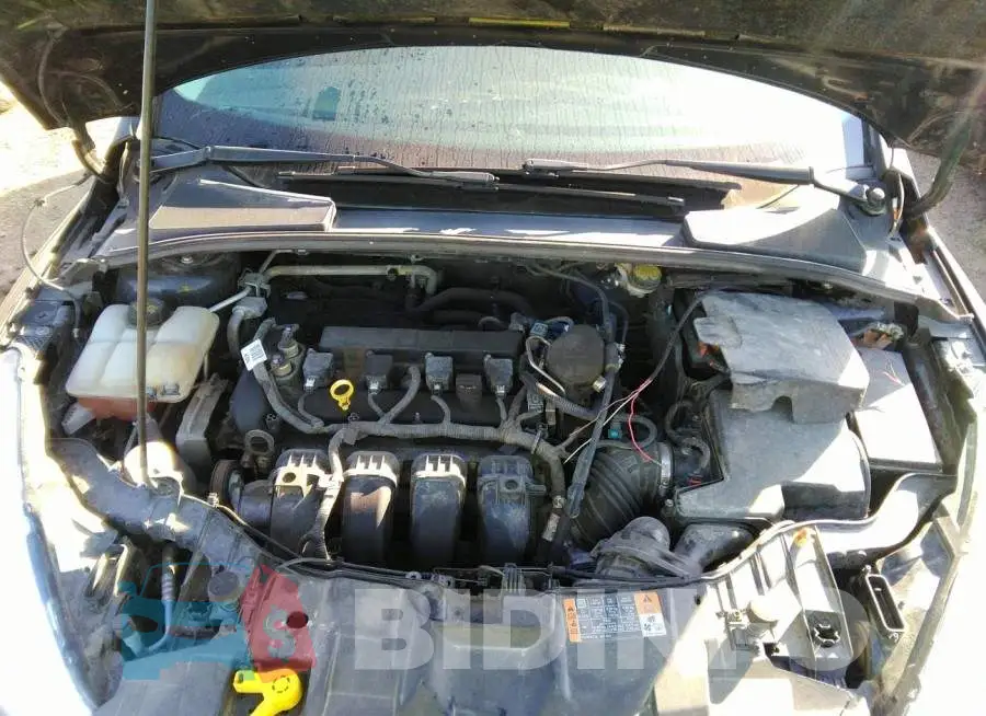 1FADP3F26FL219808 Photo# 10