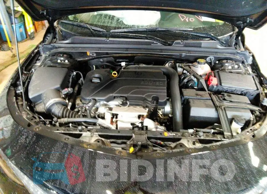 1G1ZD5ST5LF073469 Photo# 10