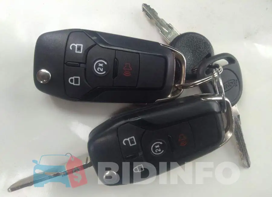 1FTER4FH3MLD40988 Photo# 11
