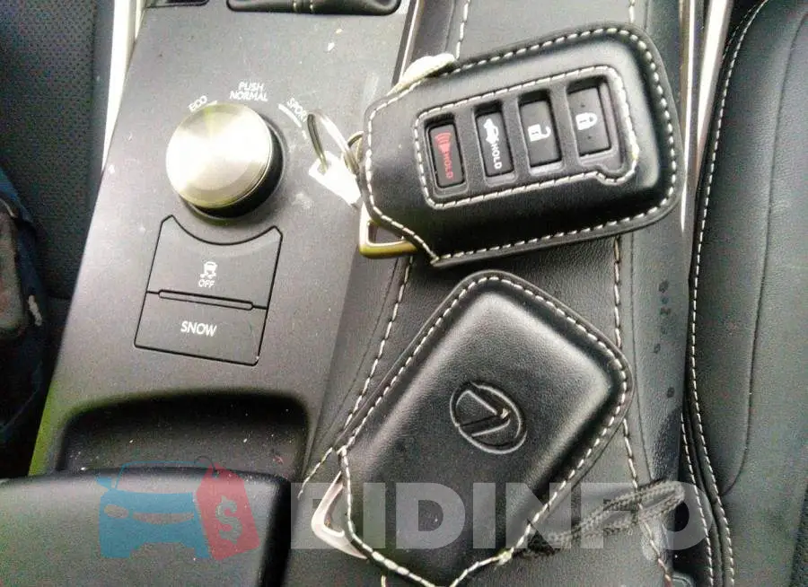 JTHDA1D20L5102517 Photo# 3