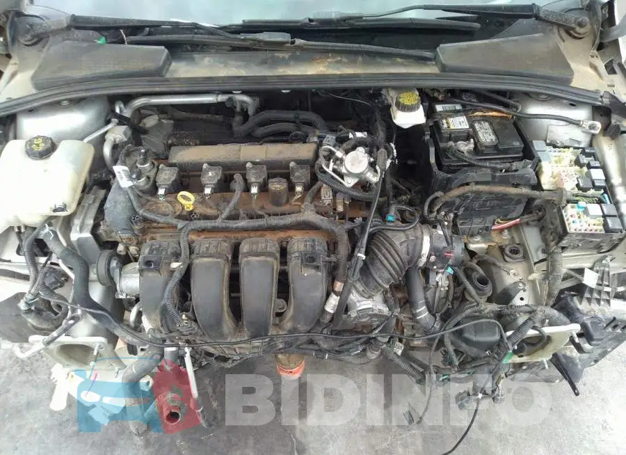 1FADP3M20HL329355 Photo# 10