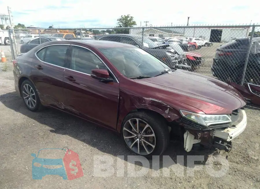 19UUB2F33FA009403 Photo# 1