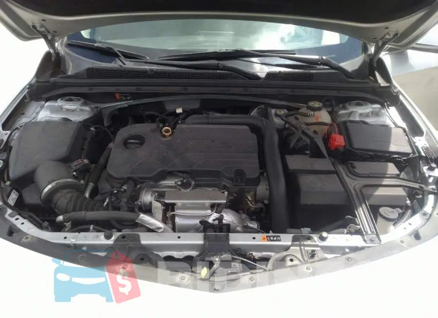 1G1ZD5ST5LF042688 Photo# 10