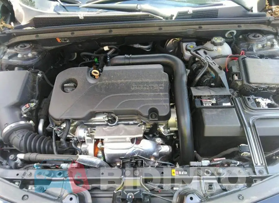 1G1ZD5ST7MF069036 Photo# 10