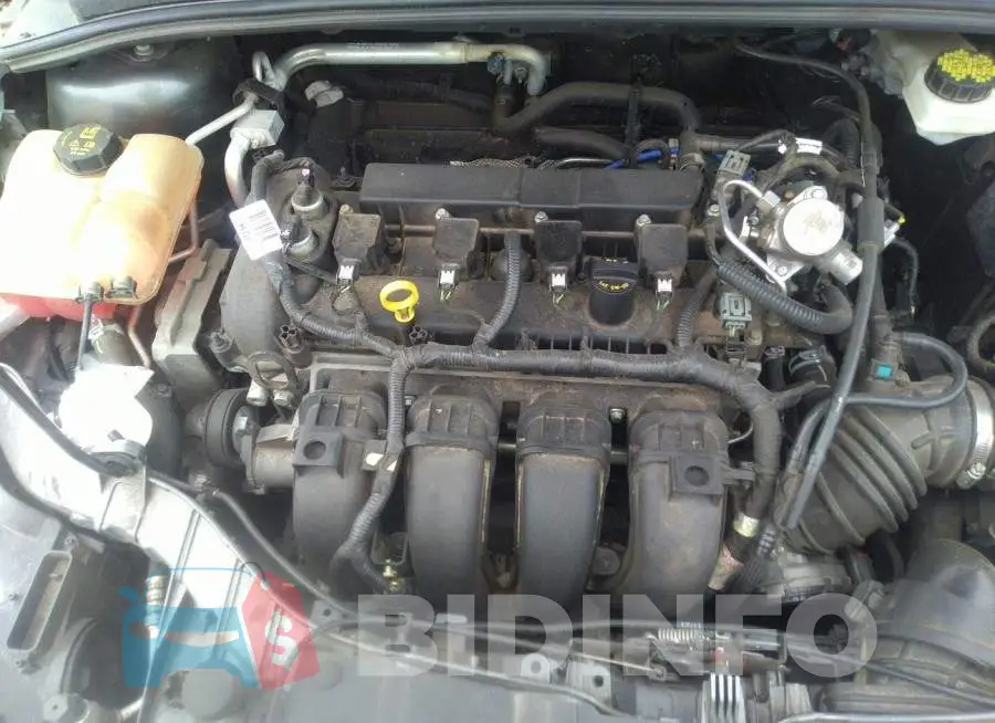 1FADP3F2XHL290979 Photo# 10