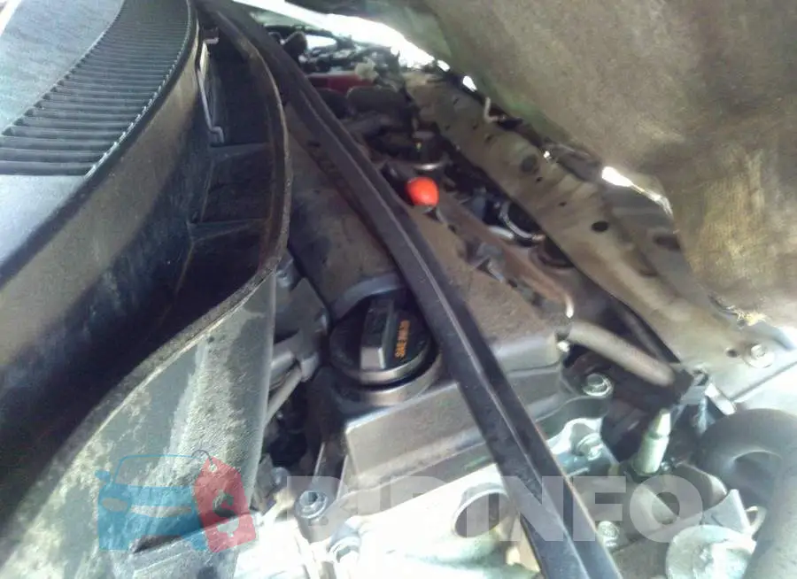 19XFB2F8XFE066956 Photo# 10