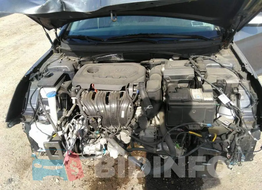 5NPE24AF6KH761454 Photo# 10