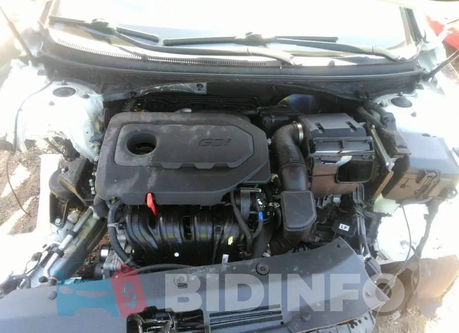 5NPE34AF6KH768532 Photo# 10