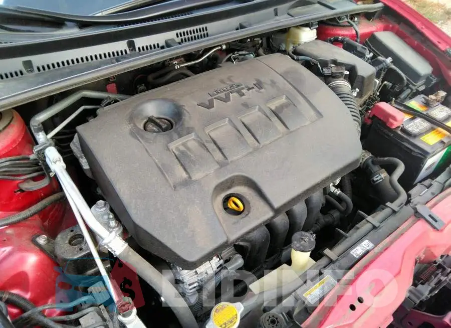 5YFBURHEXGP524015 Photo# 10
