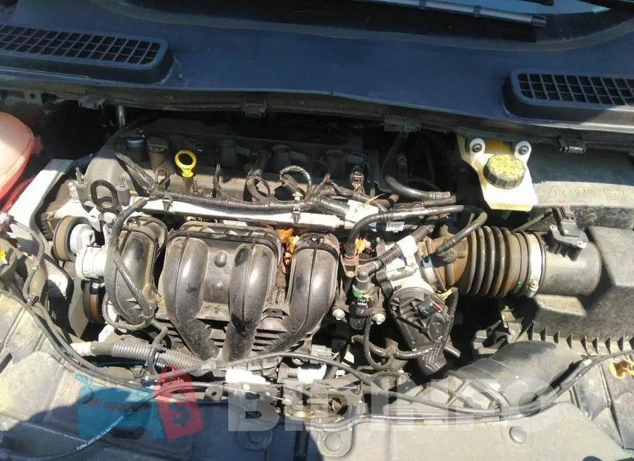 1FMCU0F73KUB73766 Photo# 10