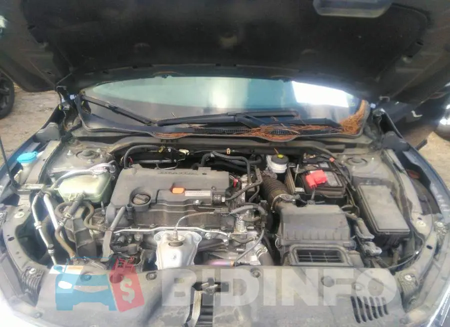 19XFC2F74HE069505 Photo# 10