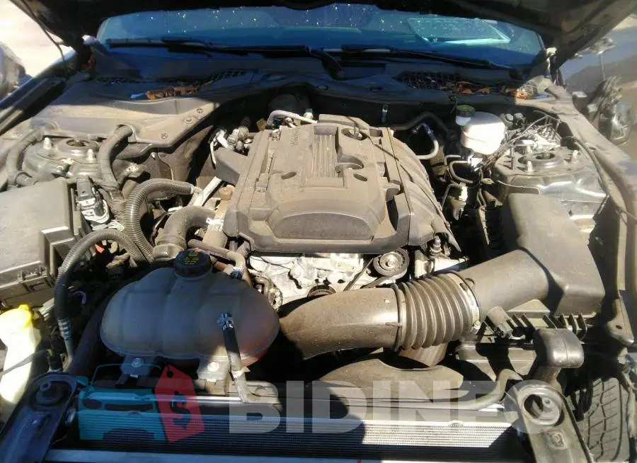 1FA6P8TH1K5202797 Photo# 10