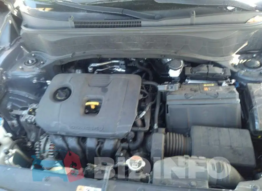KNDEU2AA3M7092733 Photo# 10