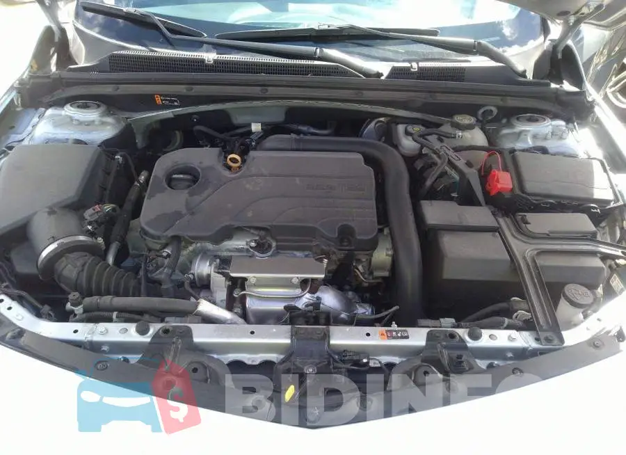 1G1ZD5ST3MF041069 Photo# 10