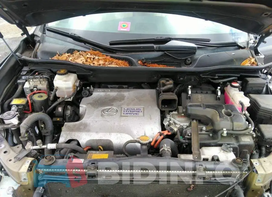 2T2ZB1BA1FC001648 Photo# 10