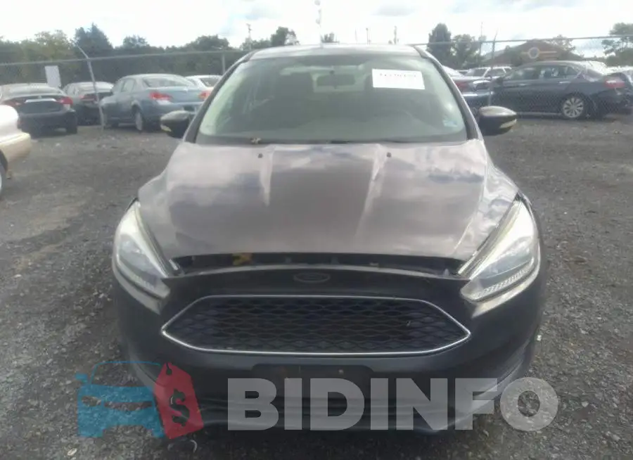 1FADP3F22GL301066 Photo# 6