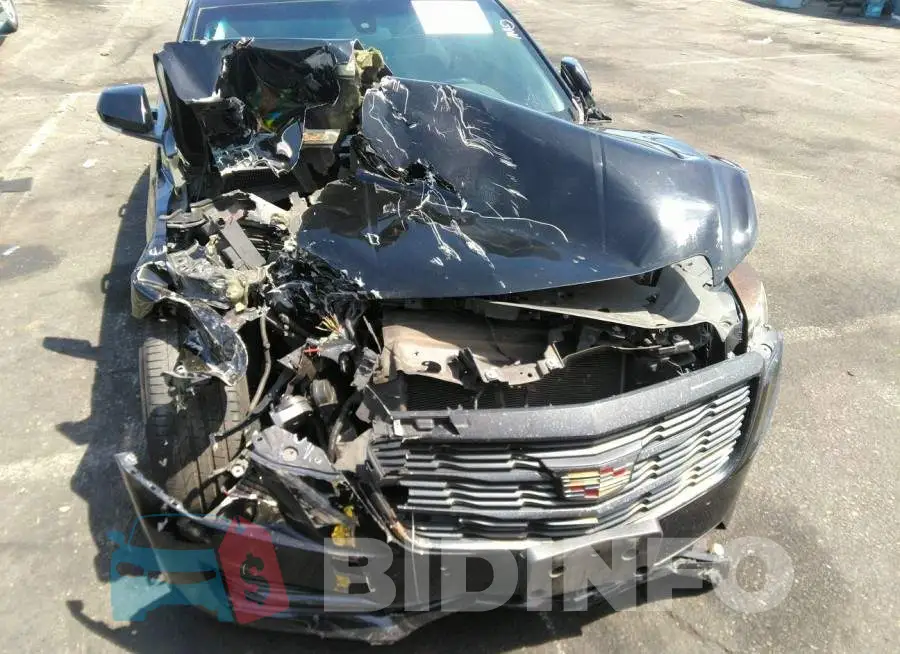 1G6AB5RX8F0107966 Photo# 6