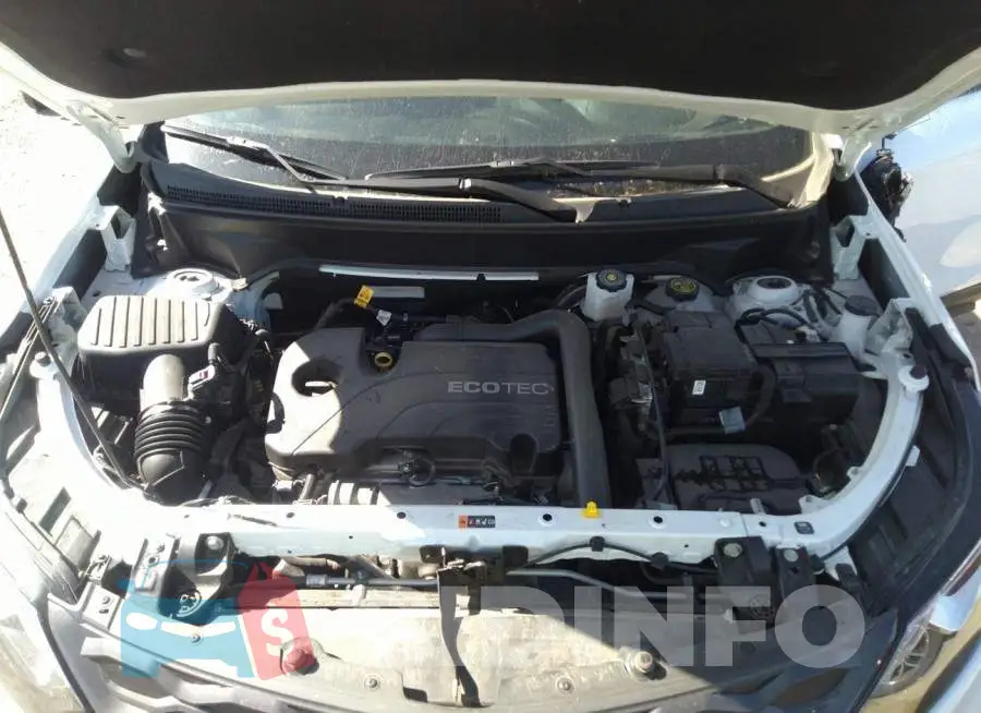 2GNAXXEV6M6126350 Photo# 10
