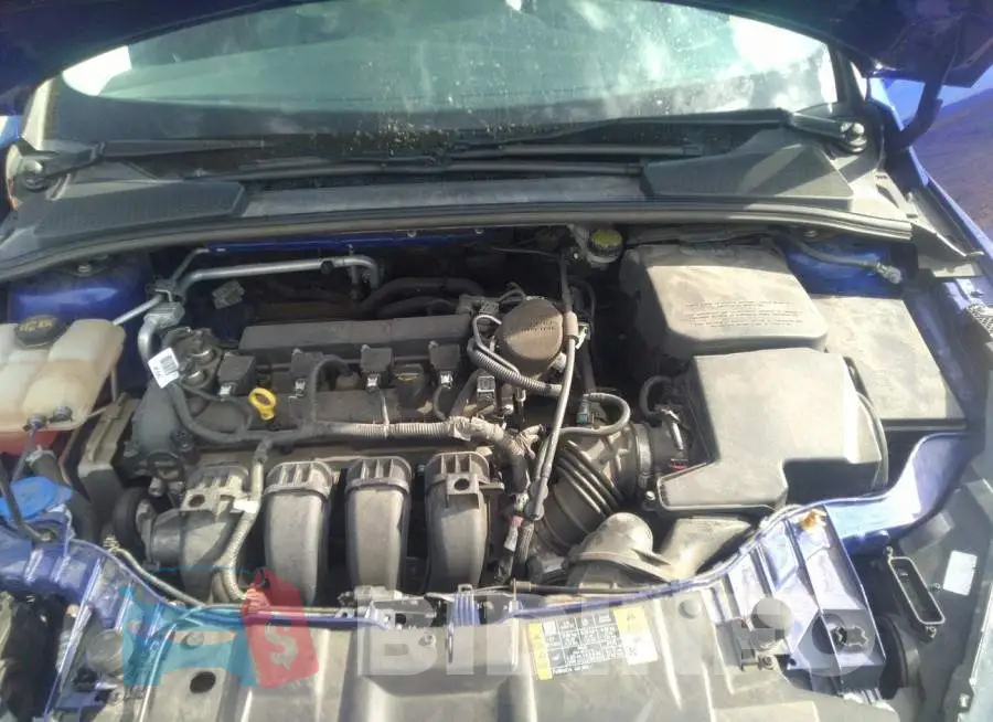 1FADP3F2XFL260863 Photo# 10