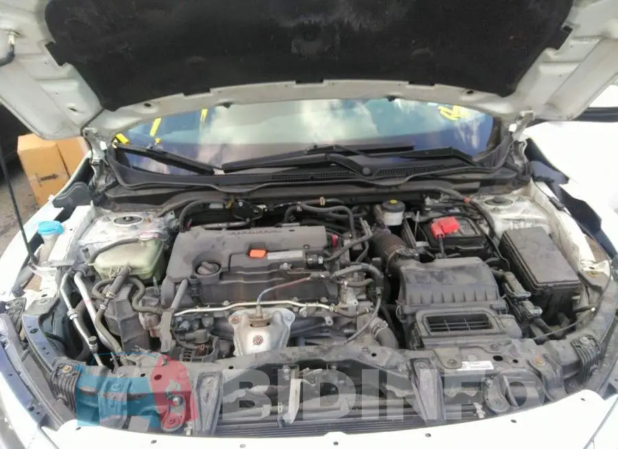19XFC2F71HE206464 Photo# 10