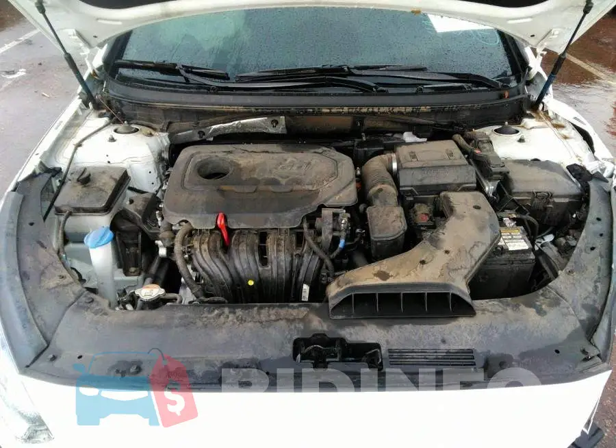 5NPE24AF3KH769138 Photo# 10
