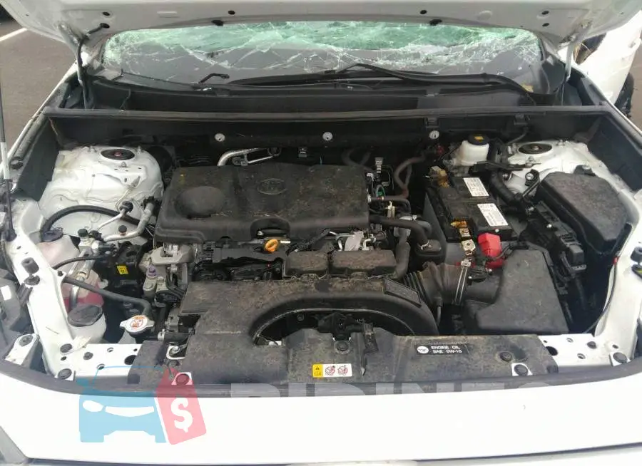 2T3F1RFV8KW071654 Photo# 10