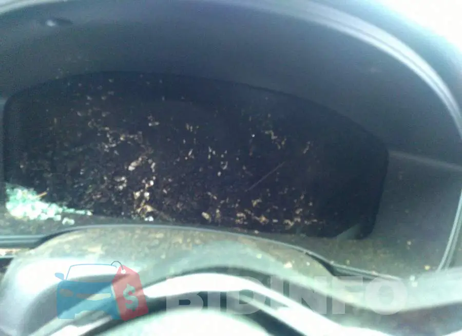 2HGFE2F53NH572288 Photo# 7