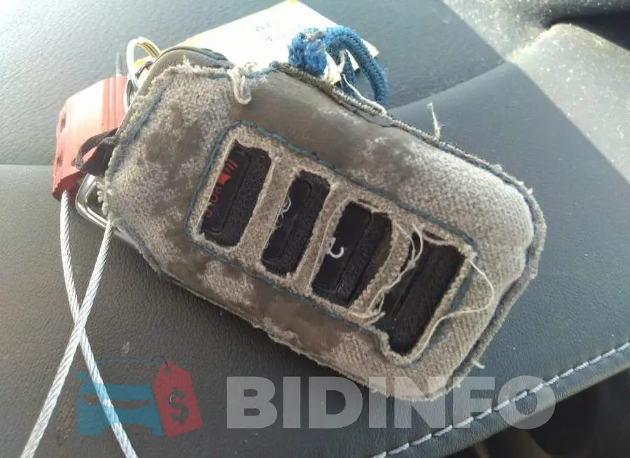 JTHBF1D24F5044070 Photo# 11