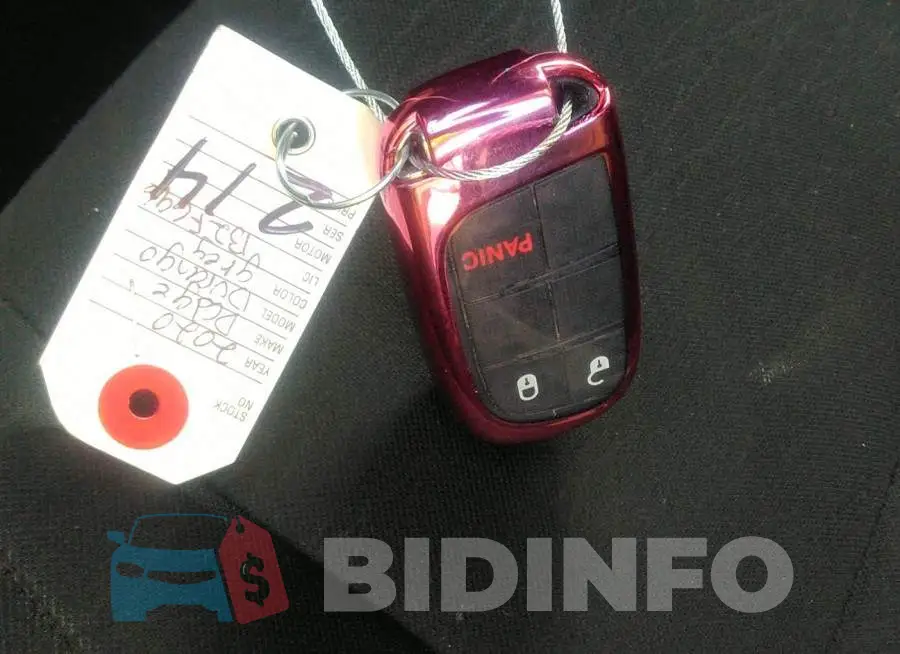 1C4RDHAG6LC166113 Photo# 11