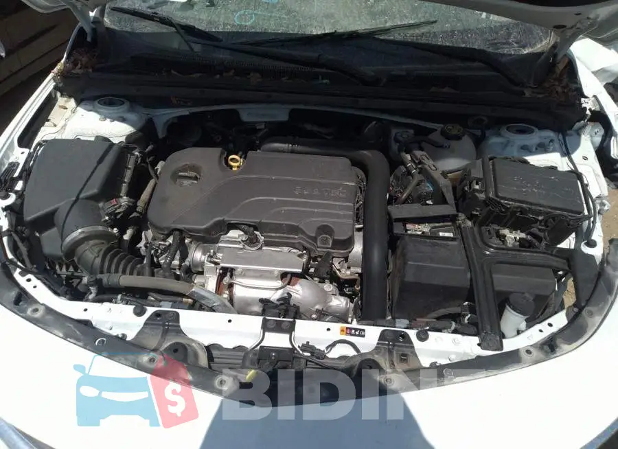 1G1ZD5ST0MF024231 Photo# 10