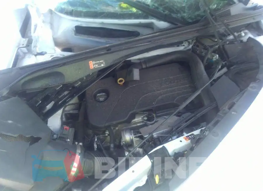 1G1ZD5ST3KF167204 Photo# 10