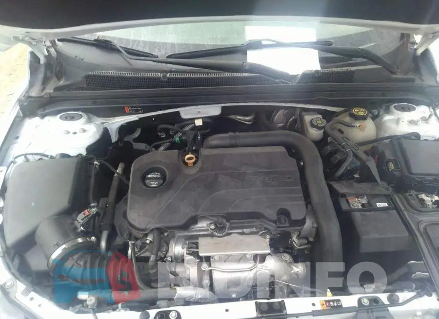 1G1ZD5ST5KF108428 Photo# 10