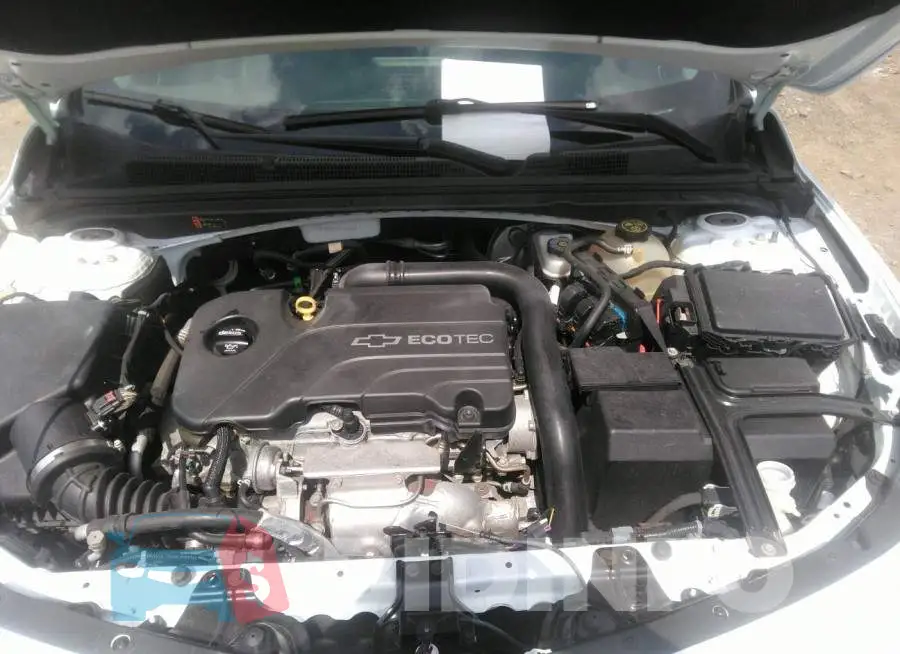 1G1ZD5ST9JF170137 Photo# 10
