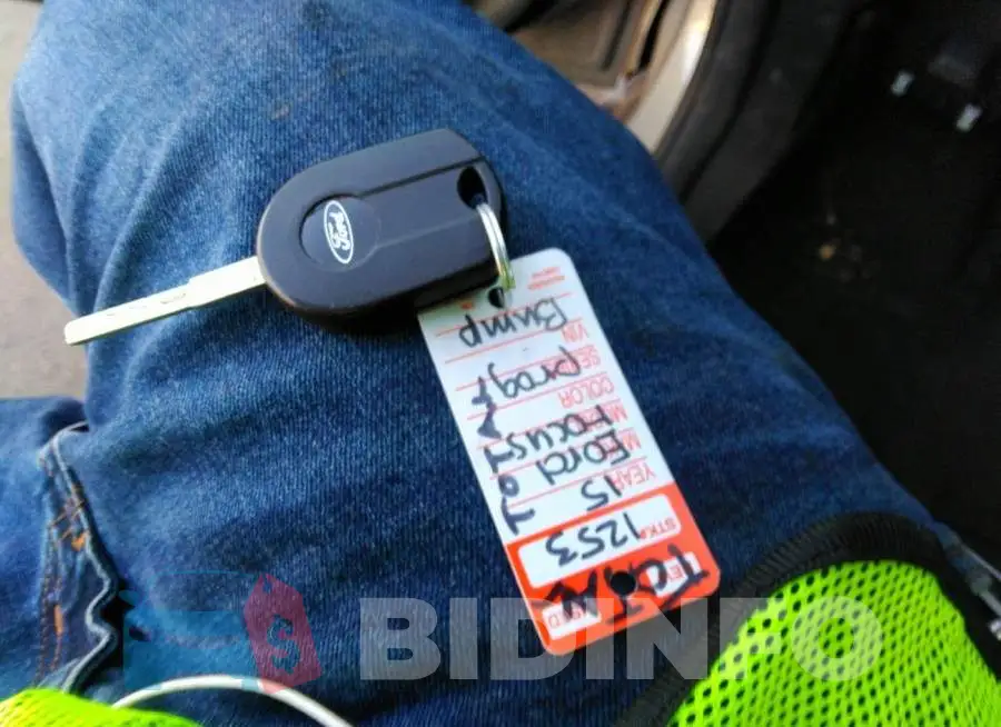 1FADP3F20FL319113 Photo# 11