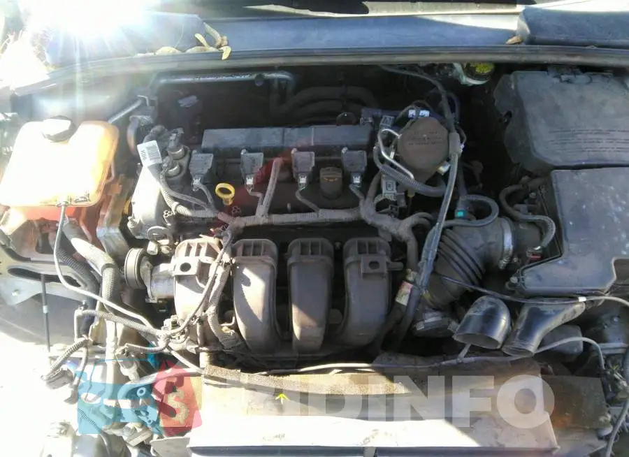 1FADP3F20FL319113 Photo# 10