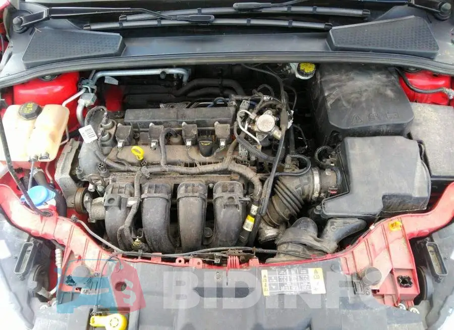 1FADP3F26GL390849 Photo# 10
