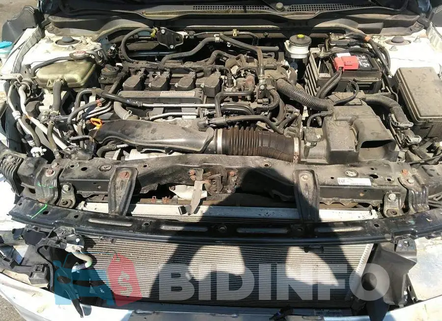 19XFC1F34HE210189 Photo# 10