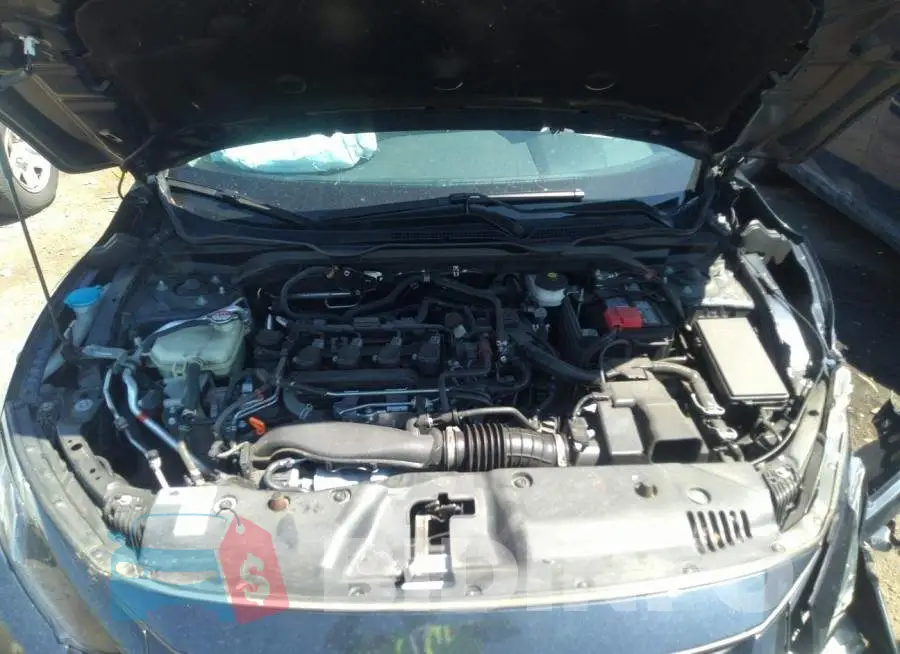 19XFC1F33LE219510 Photo# 10