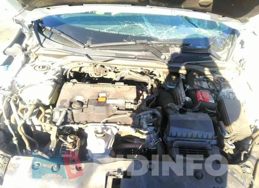 19XFC2F50HE229491 Photo# 10