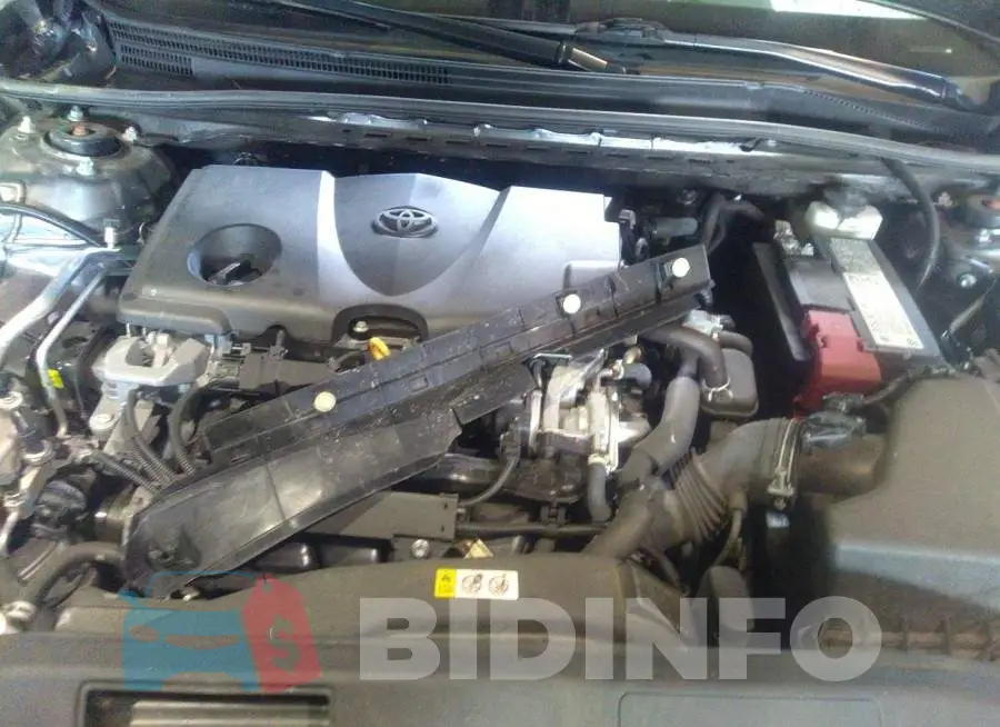 4T1M11AK2LU986855 Photo# 10