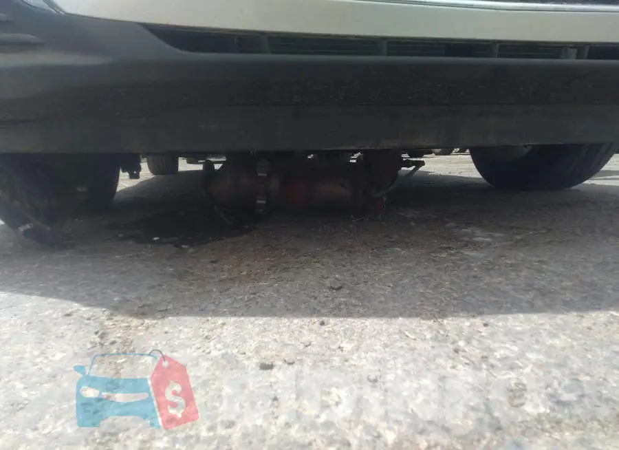 1G1ZD5ST6LF059645 Photo# 6